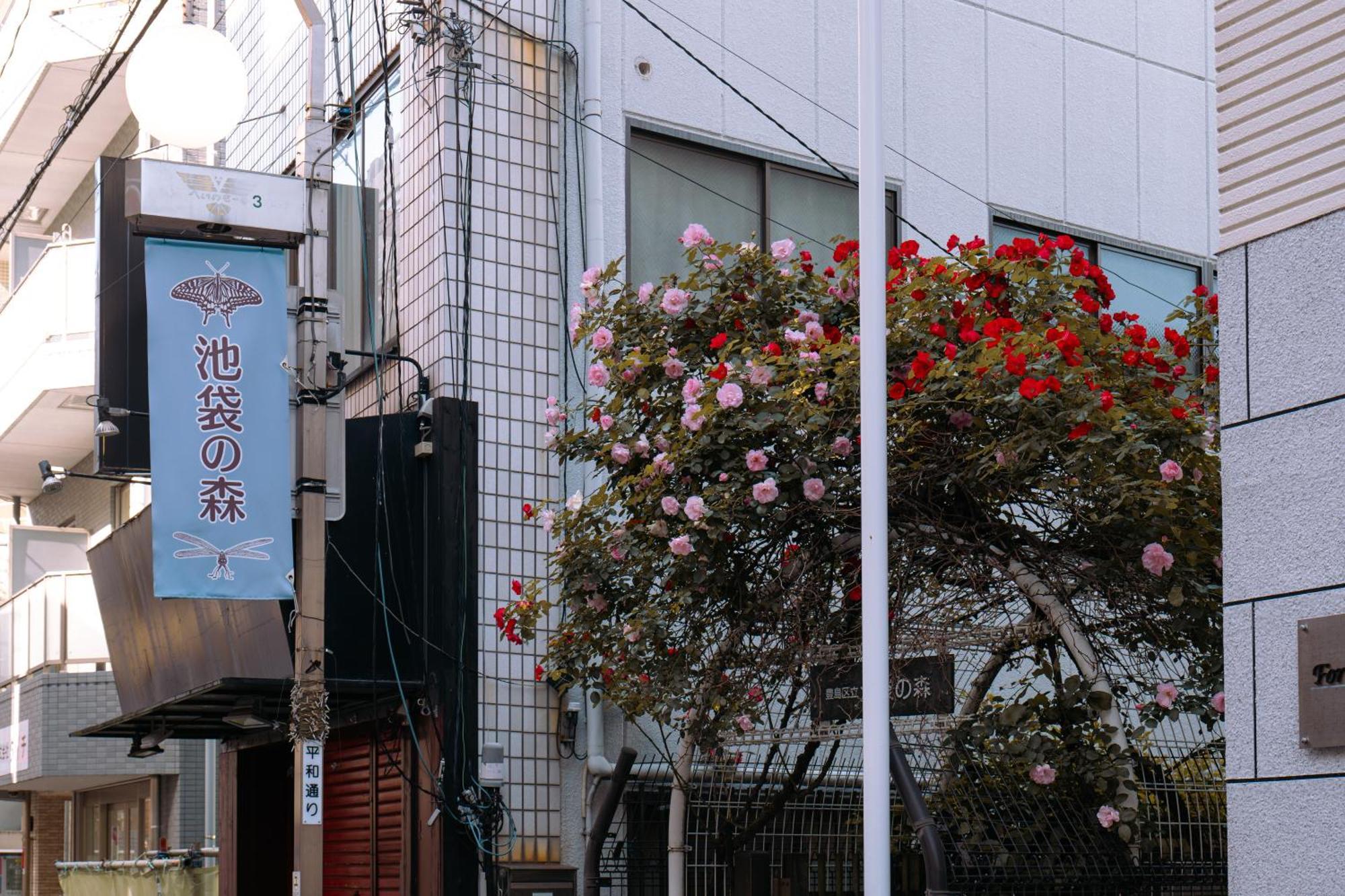 桜の川1 Ikebukuro Shopping Paradise Three